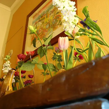 Hotel San Martino & Depandance Lucca